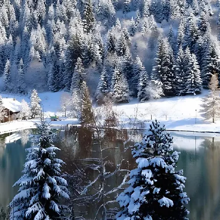Gentiane 7 Pers - Proche Pistes Chalet *